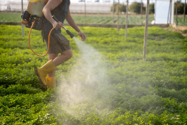 Trusted Vian, OK Pest Control Experts