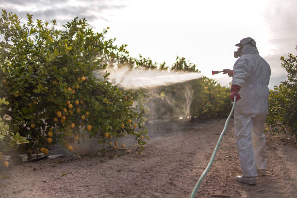 Best Pest Inspection Near Me  in Vian, OK