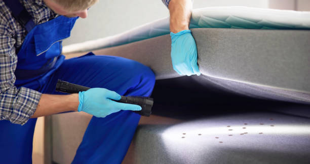 Best Affordable Pest Control Services  in Vian, OK