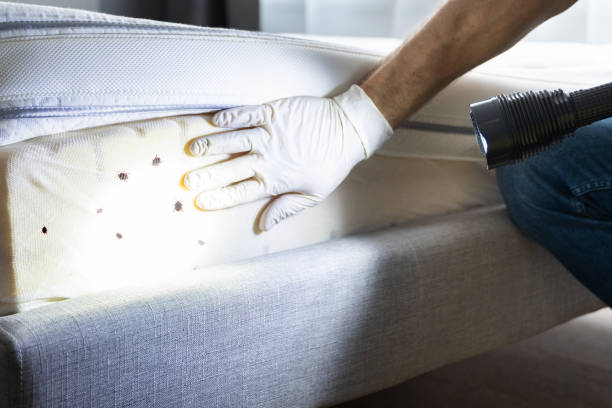 Best Pest Control Near Me in Vian, OK